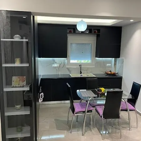 Dragoti * 렙토카리아